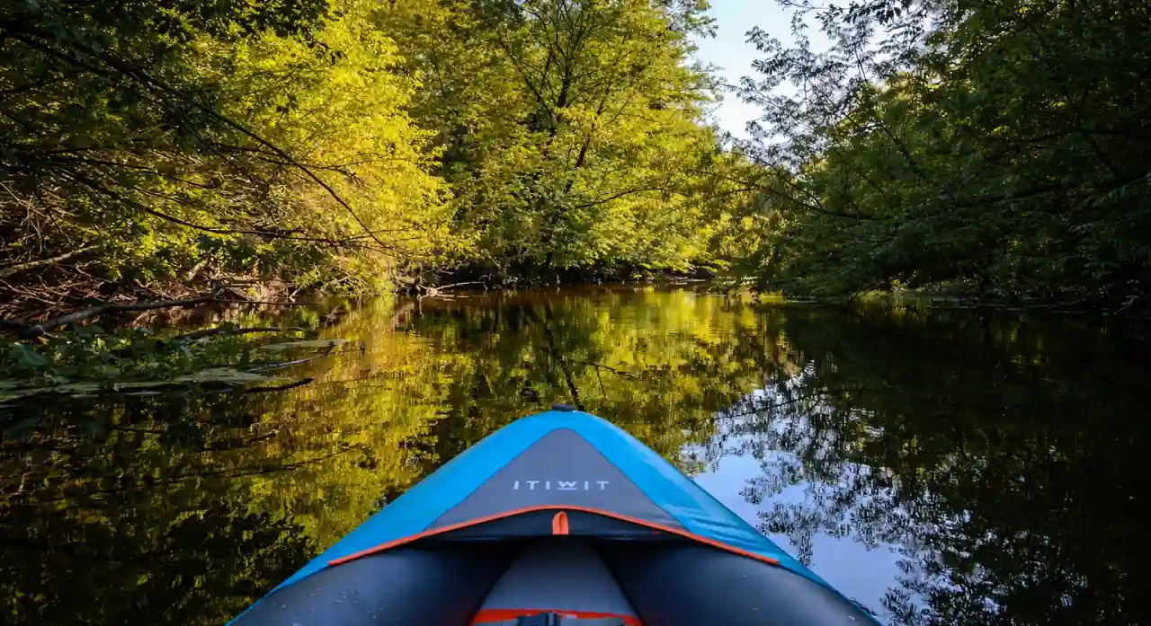 Маршрут сплава по реке Лесная в Бресте — байдарки и природа