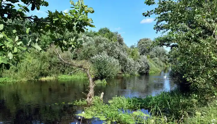 Что входит в стоимость аренды байдарок, каяков в Бресте