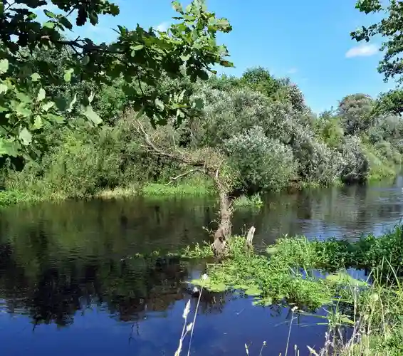 Что входит в стоимость проката байдарок — мобильная версия